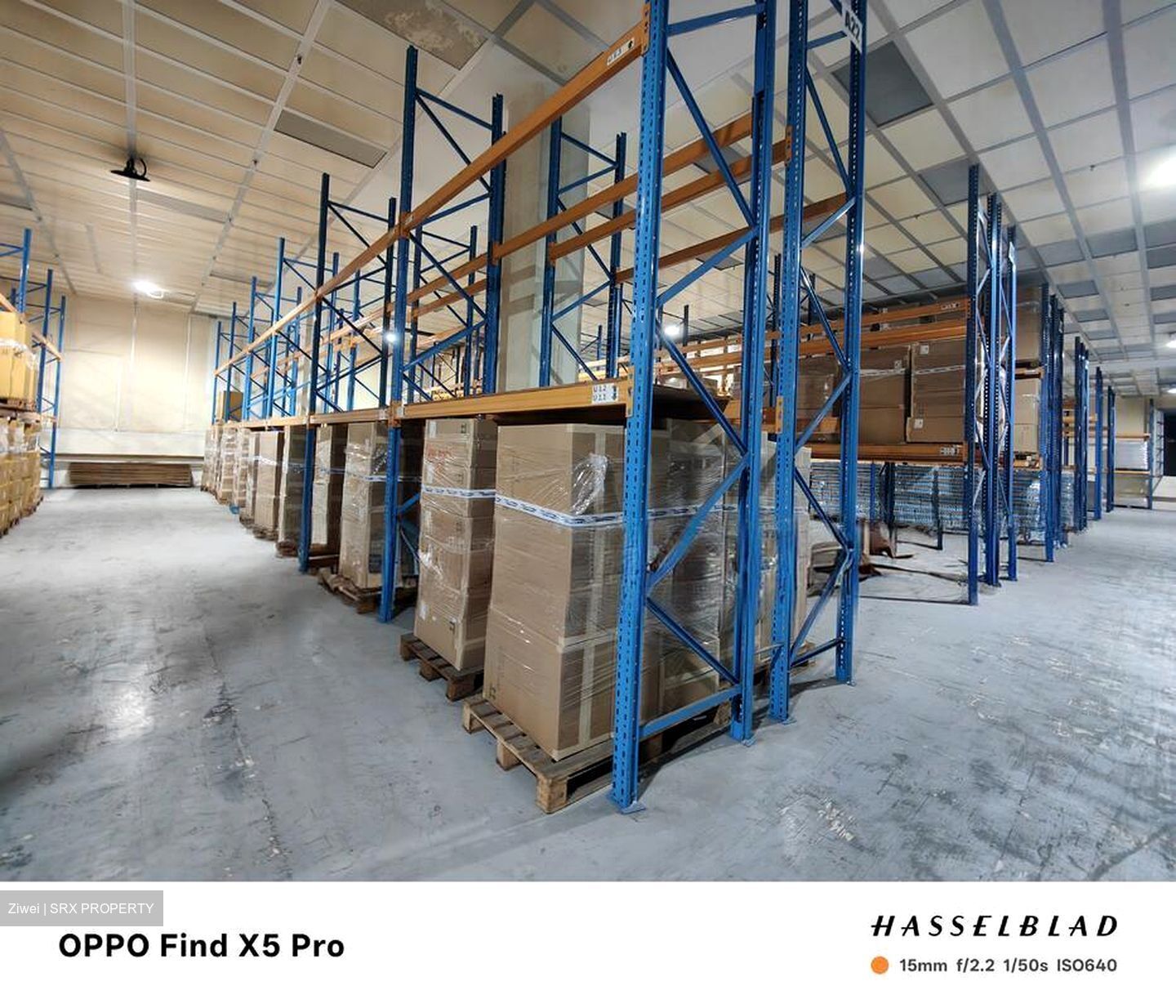 Tuas Avenue 9 (D22), Warehouse #497083841